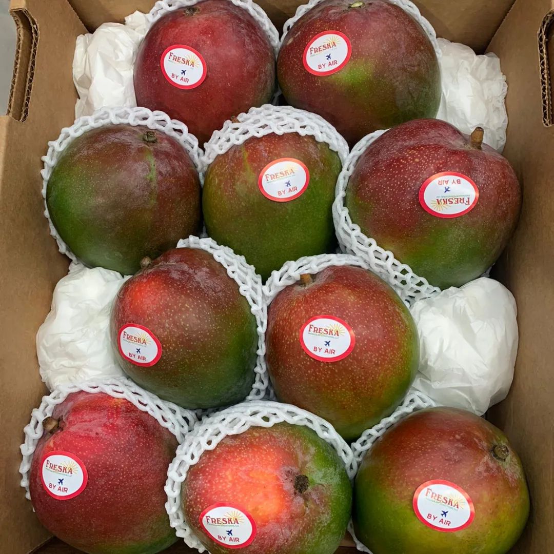 甘熟メキシコマンゴーを空輸便にて取寄ました。甘い香りと豊かな味わいをお楽しみください。数量限定です。販売予定日は6月末から7月始め頃です。追ってインスタ上げます。#甘熟マンゴー#航空便マンゴー#メキシコマンゴー#福島区マンゴー#大阪マンゴー